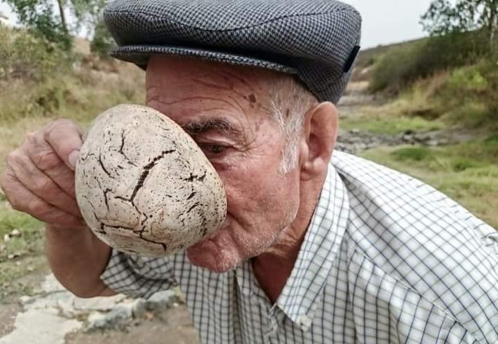 Quem por aqui ainda se lembra do Cocho de Cortiça?