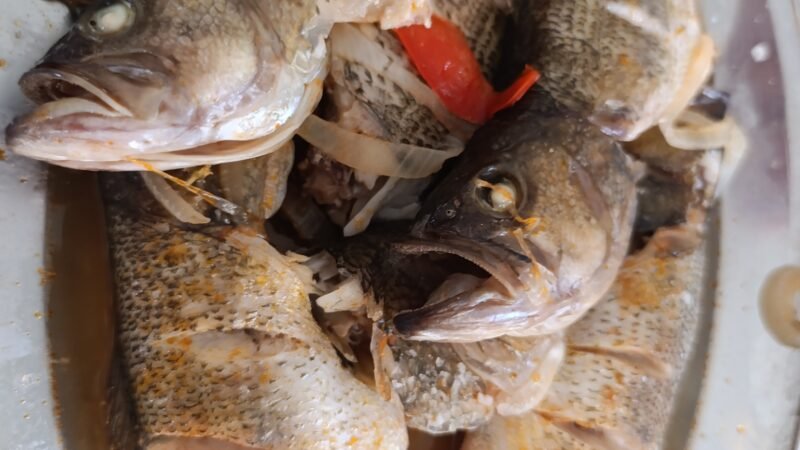 Receita de Achigas com Molho de Poejo