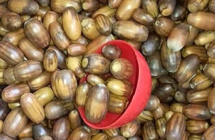Receita de Bolotas Assadas à Alentejana