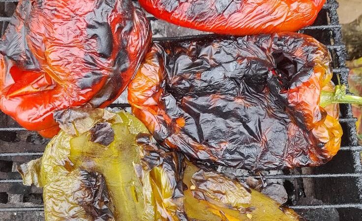 PIMENTOS ASSADOS NA BRASA À ALENTEJANA – O SEGREDO