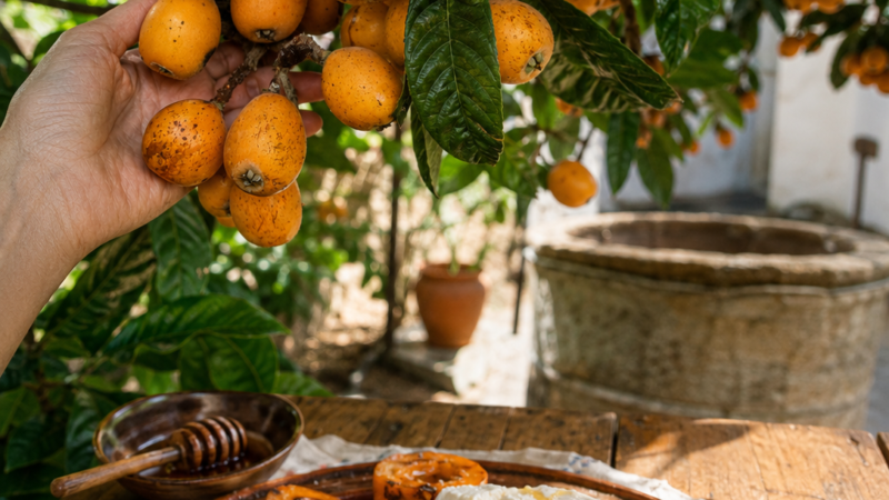 Nêsperas Alentejanas… O primeiro doce do Verão