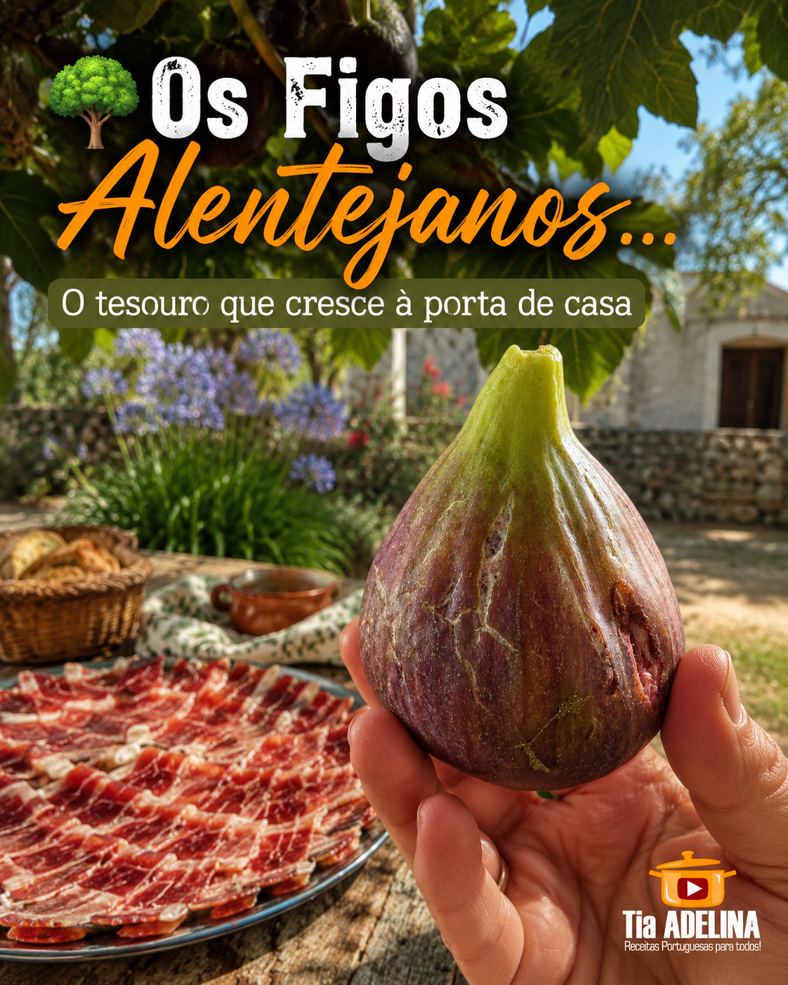Os Figos Alentejanos… o tesouro que cresce à porta de casa