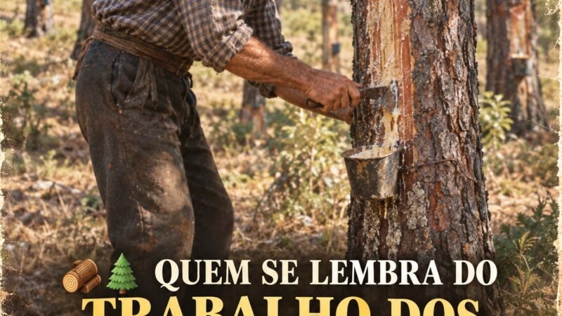 QUEM SE LEMBRA DO TRABALHO DOS RESINEIROS?