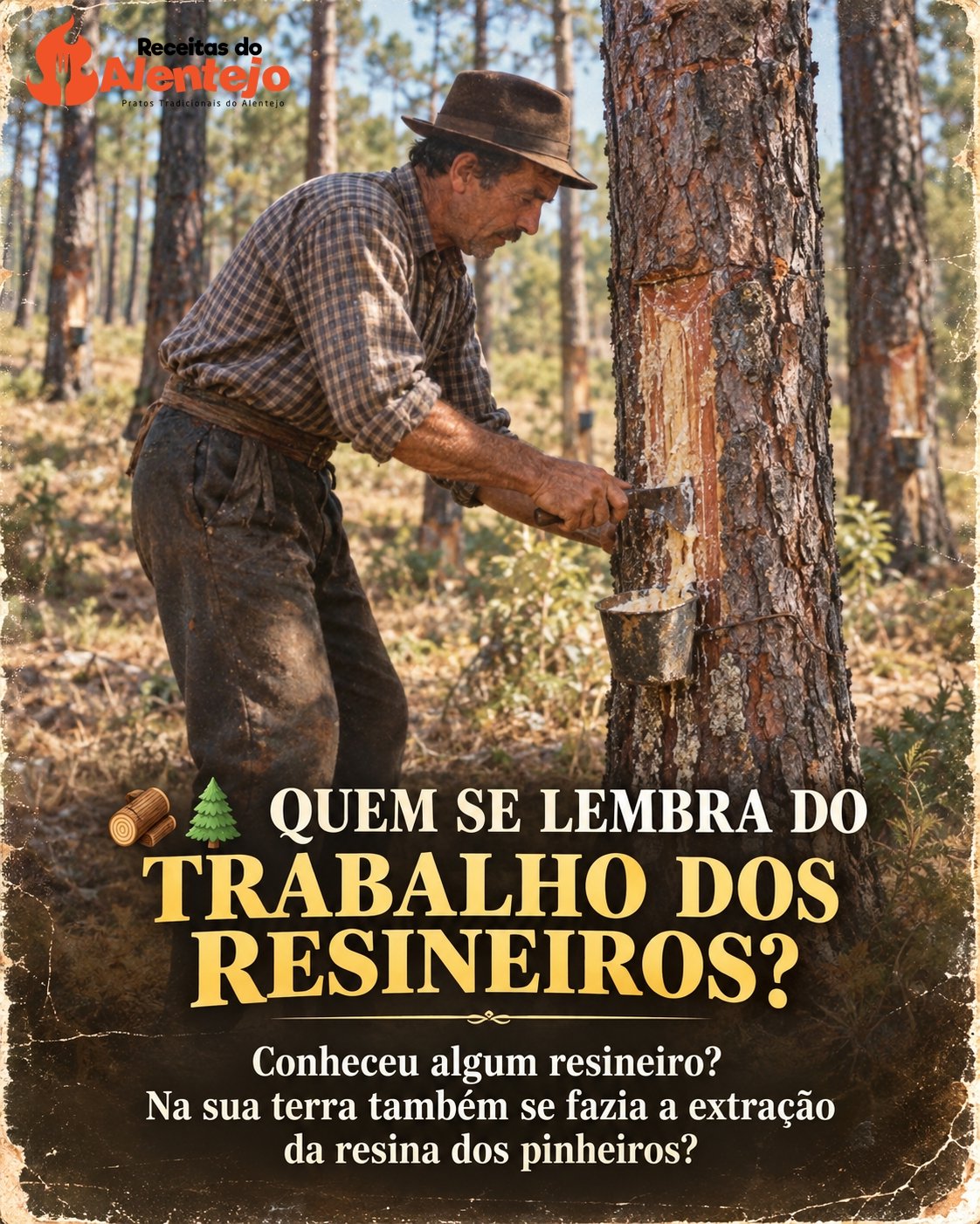 QUEM SE LEMBRA DO TRABALHO DOS RESINEIROS?