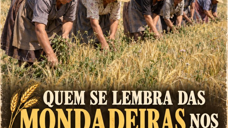 QUEM SE LEMBRA DAS MONDADEIRAS NOS CAMPOS DO ALENTEJO?