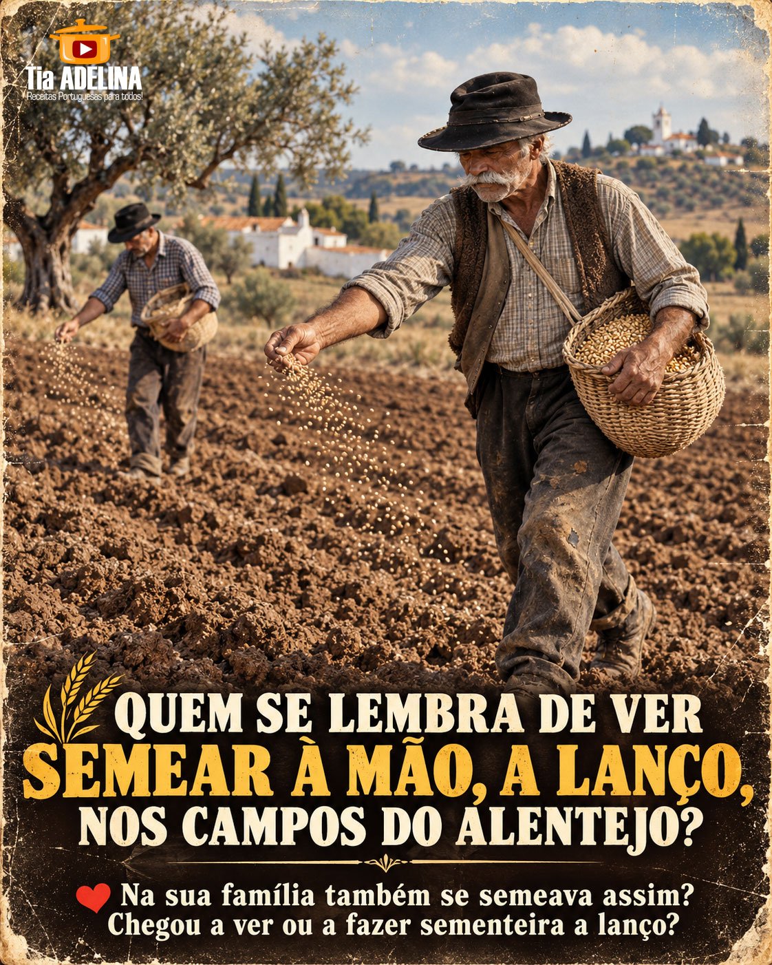 🌾 QUEM SE LEMBRA DE VER SEMEAR À MÃO, A LANÇO, NOS CAMPOS DO ALENTEJO?
